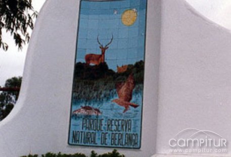 Ruta Senderista II Vereda Natural de Berlanga 